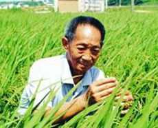 袁隆平